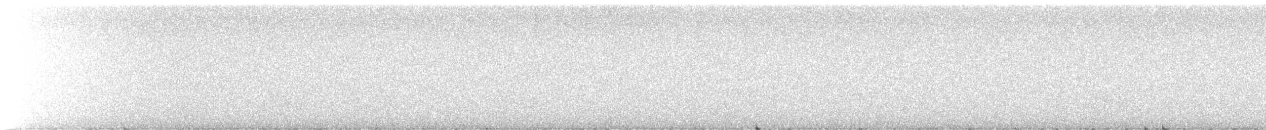 jeřábek kanadský - ML645957944