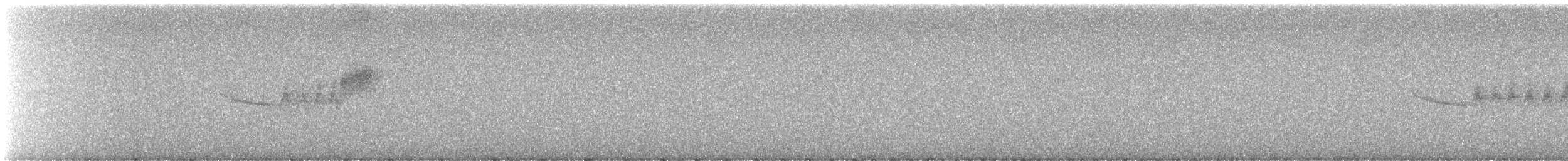 Black-throated Blue Warbler - ML645957964