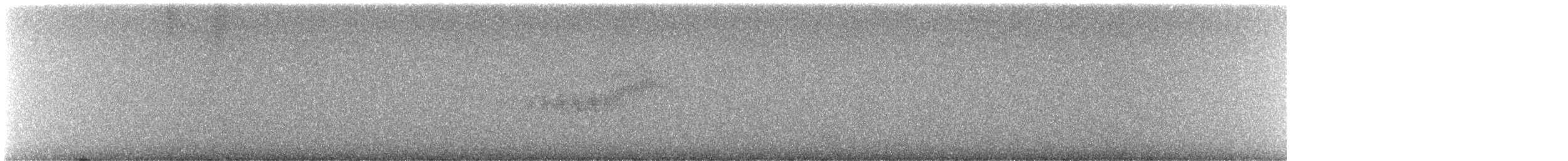 Black-throated Blue Warbler - ML645957965