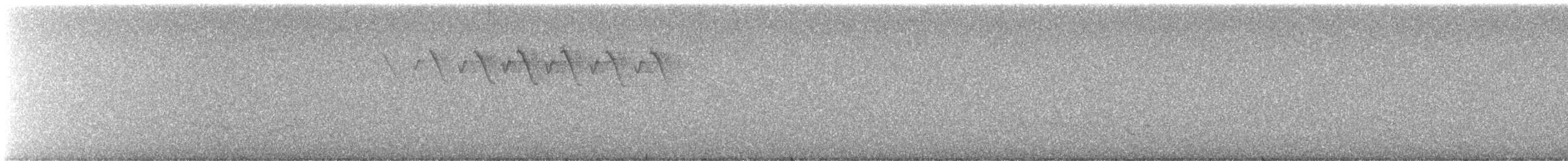 Black-and-white Warbler - ML645958026