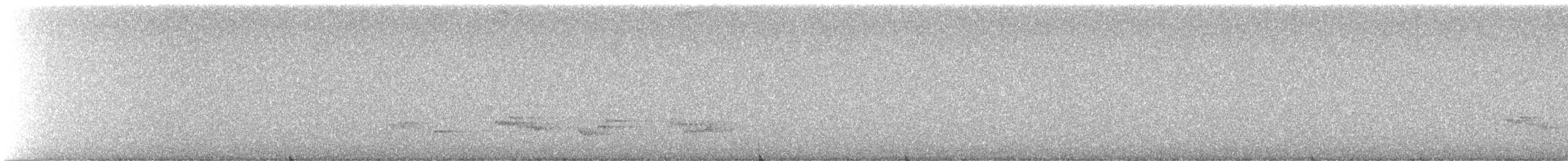 American Robin - ML645958031