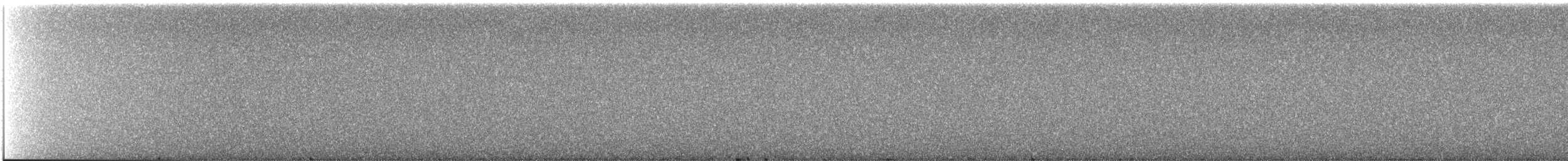 jeřábek kanadský - ML645958086