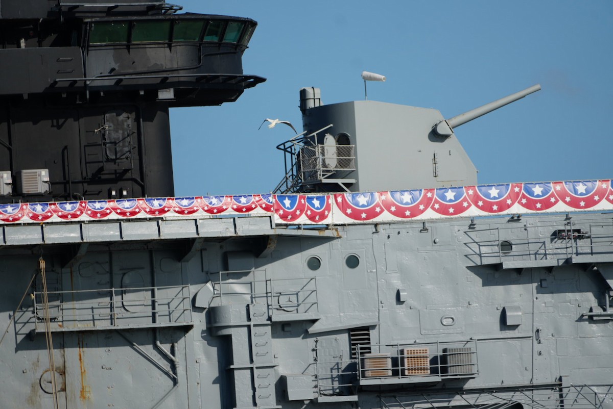 Сула червононога - ML645958112