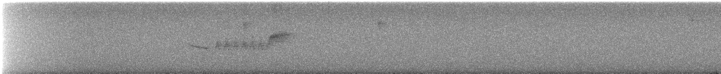 Black-throated Blue Warbler - ML645958137