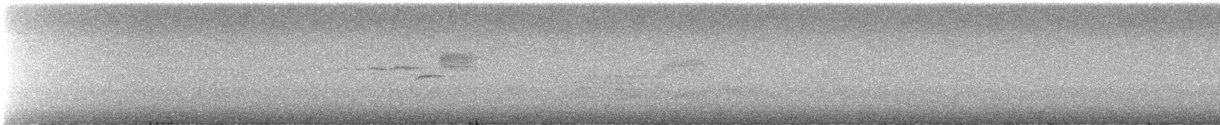 Black-throated Green Warbler - ML645958223