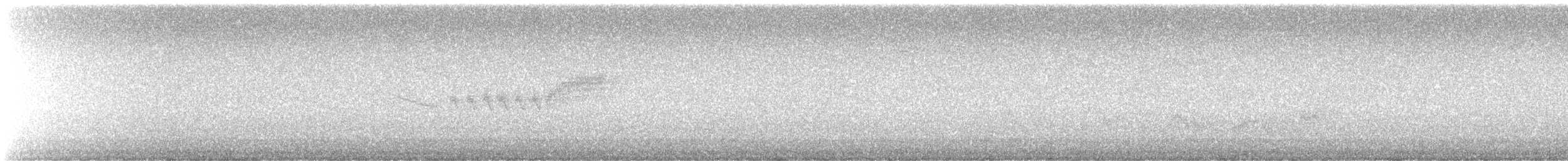 Black-throated Green Warbler - ML645958224