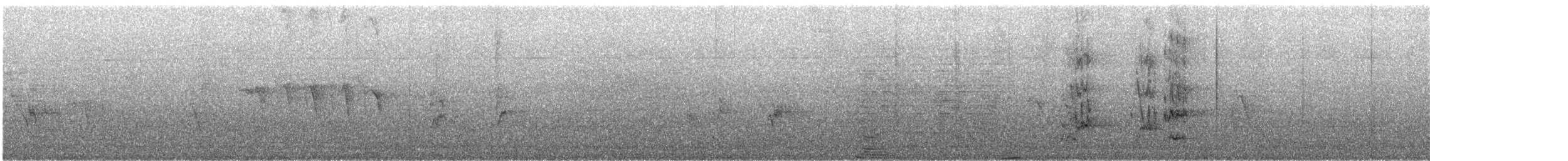 White-cheeked Starling - ML645958257