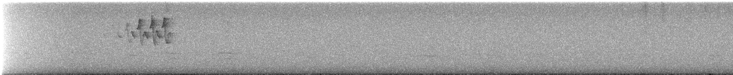 Black-throated Green Warbler - ML645958334