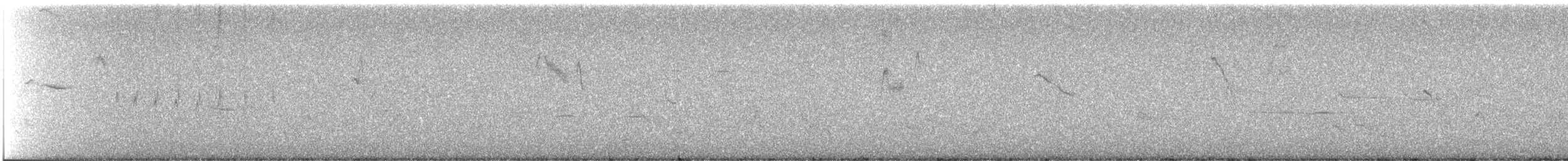 White-crowned Sparrow - ML645958342