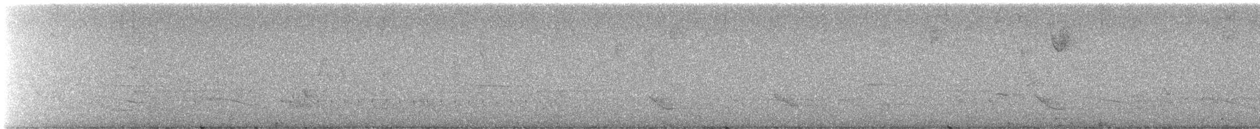 ビリーチャツグミ - ML645958423