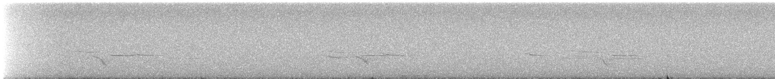 アメリカコガラ - ML645958428