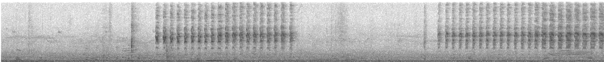 Bull-headed Shrike - ML645958634