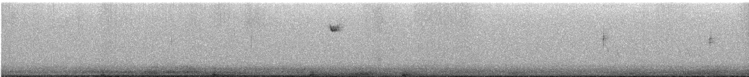 MacGillivray's Warbler - ML645958946