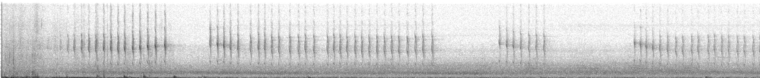Bull-headed Shrike - ML645959010