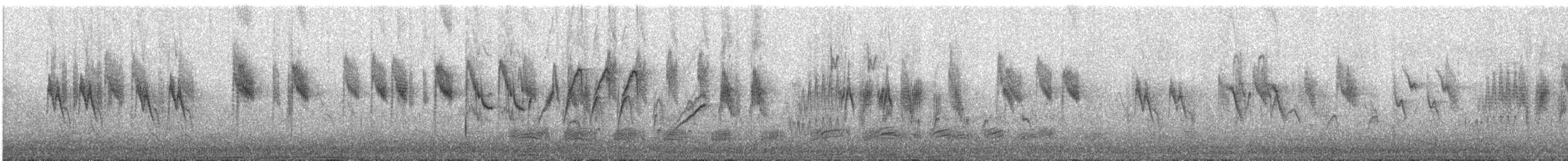 Japanese Wagtail - ML645959204