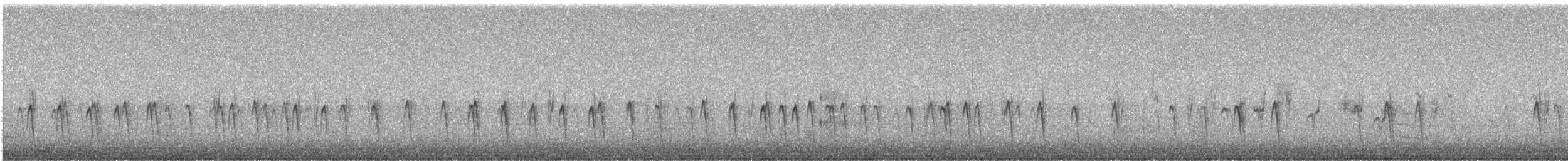 Red Crossbill (Northeastern or type 12) - ML645959478