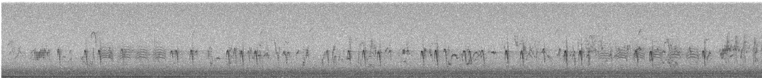 Red Crossbill (Northeastern or type 12) - ML645959479