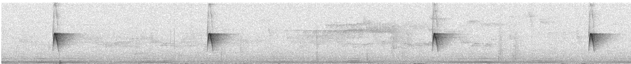 Мухоїд-білозір - ML645959503