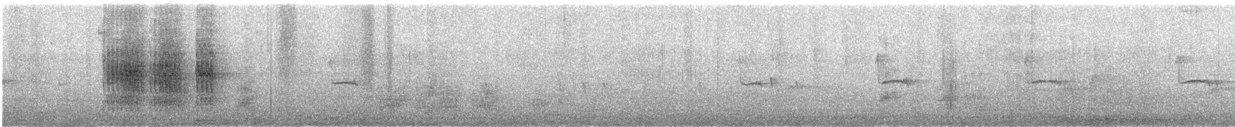 White-cheeked Starling - ML645960027