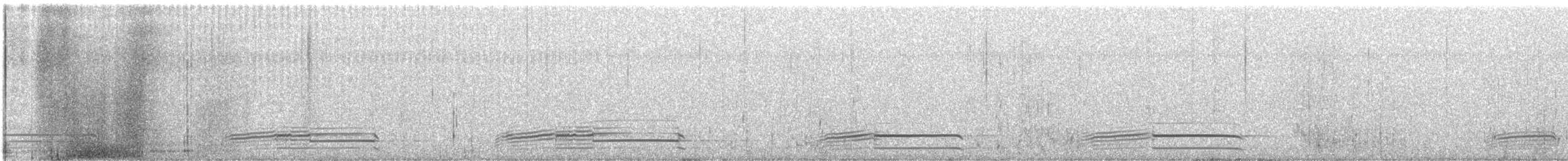 American Herring Gull - ML645960283