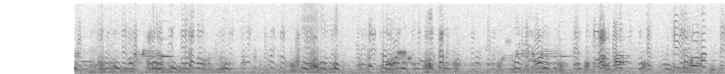 Cackling Goose - ML645960924