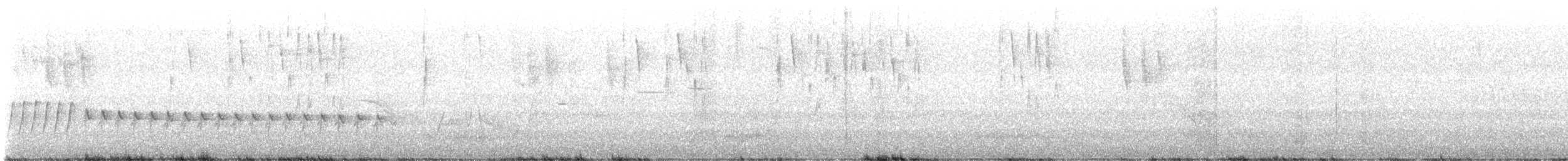 White-winged Triller - ML645961455