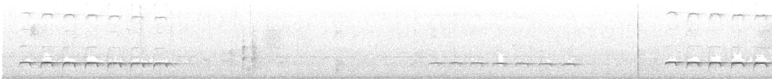 White-shouldered Fire-eye - ML645962121