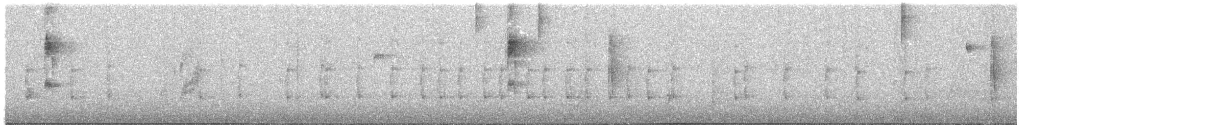 Microtyran oreillard - ML645963594