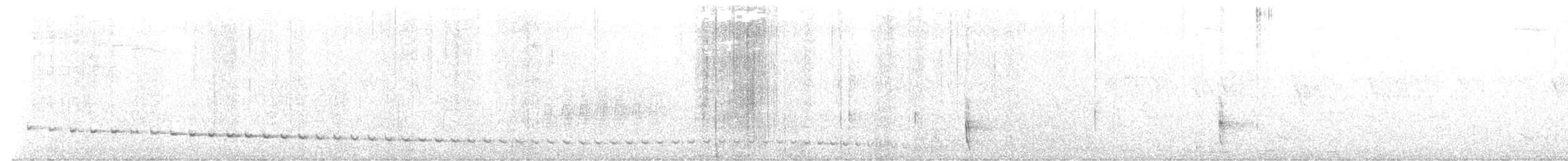 Сизый щетинколоб - ML645964096