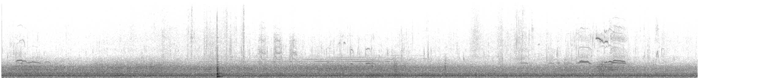 krikkand (crecca) - ML645964577