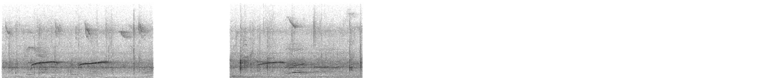 Planalto Tyrannulet - ML645964649