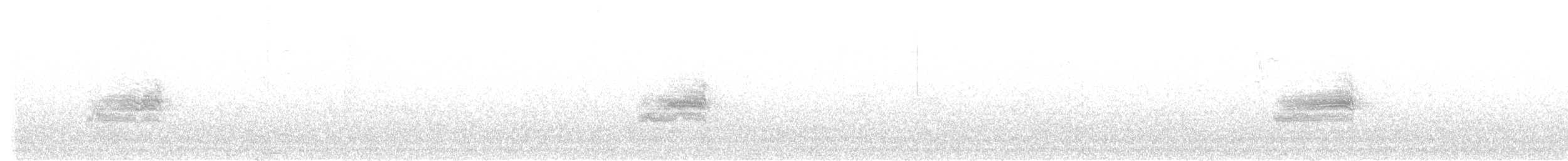 Western Warbling Vireo - ML645964660