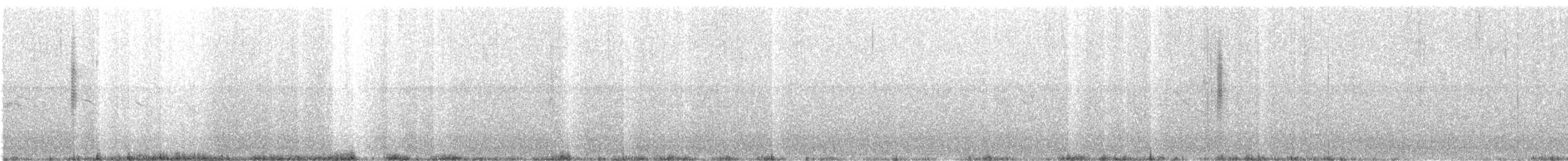 Junquero troglodyte - ML645964931