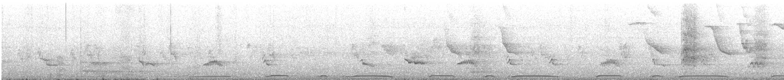 Picazuro Pigeon - ML645965068