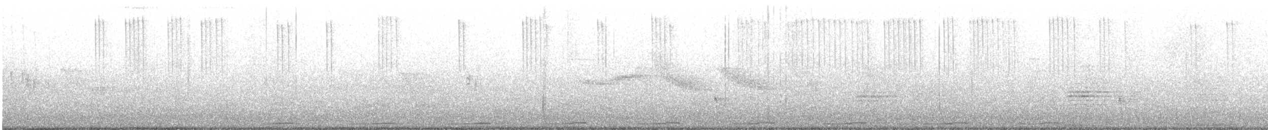 holoubek pikui - ML645965082