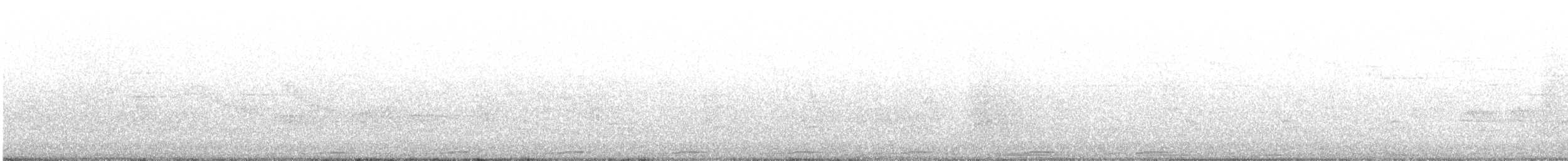 holoubek pikui - ML645965083