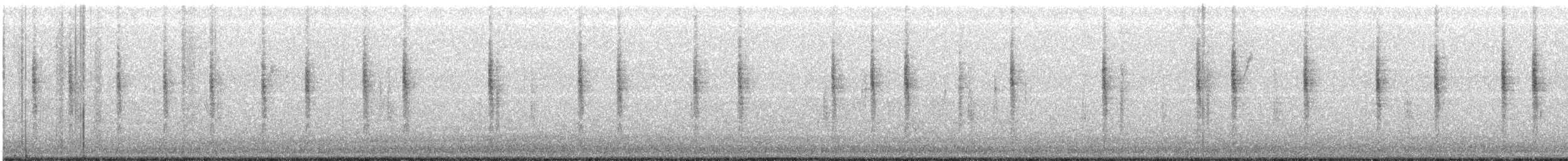 ハシナガヌマミソサザイ - ML645965305