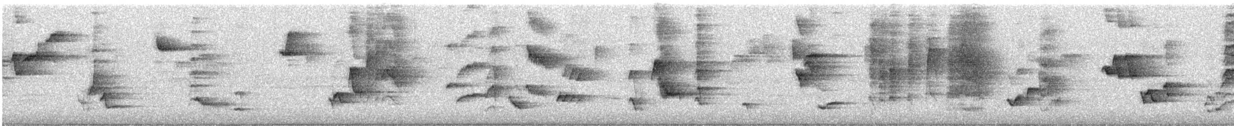 Gray Catbird - ML645965481