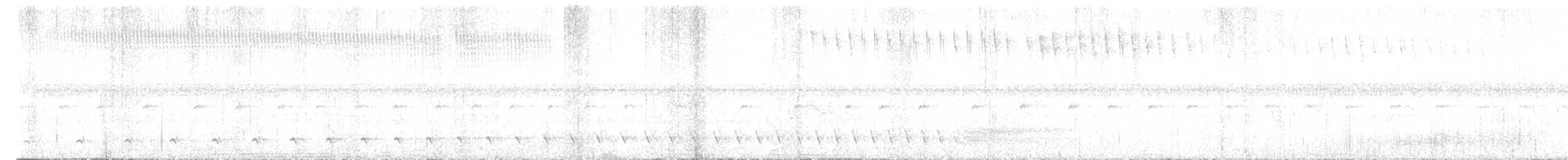 Great Antshrike - ML645966201