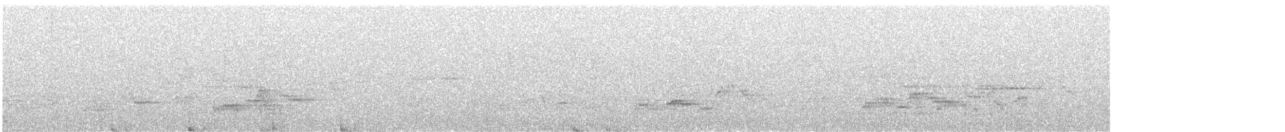 Zorzalito de Swainson - ML645966250