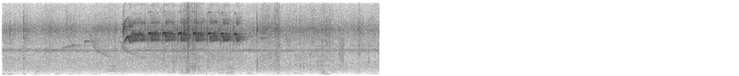 White-throated Hummingbird - ML645966446