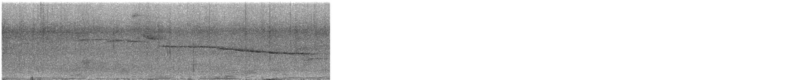 White-browed Warbler - ML645966550