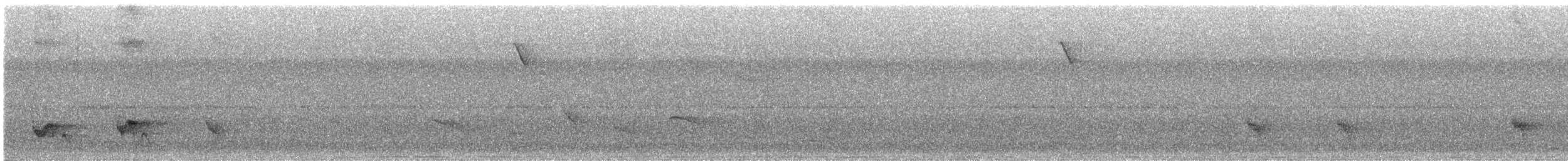 Swallow-tailed Manakin - ML645966604