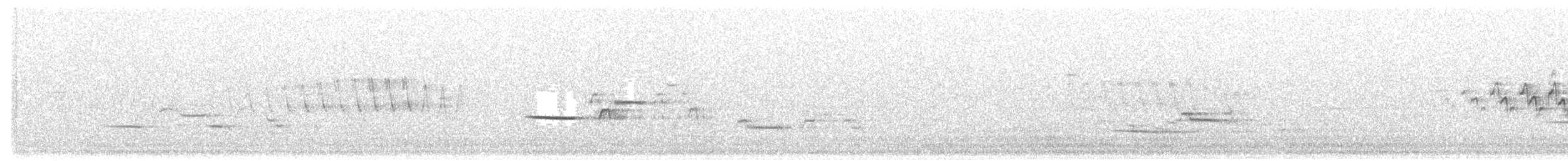 Hermit Thrush - ML645966928