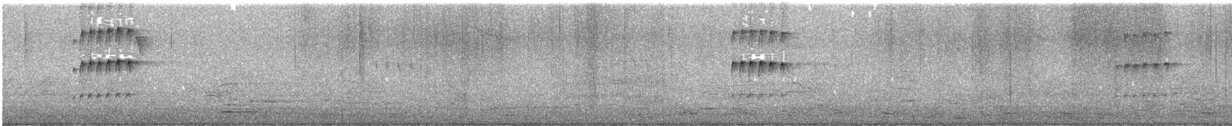 Mochuelo Caburé - ML645967076