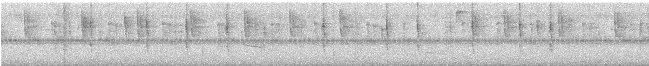 Busardo Caminero - ML645967206