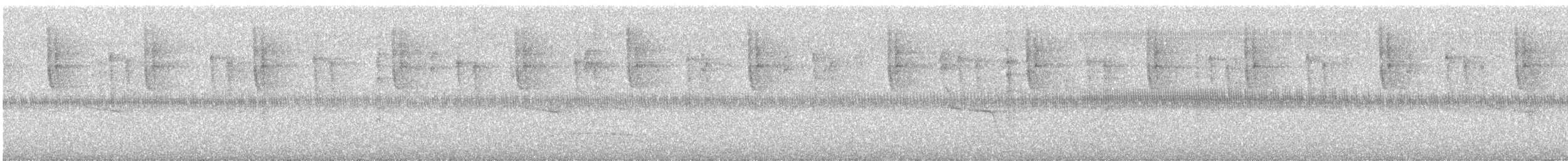 Busardo Caminero - ML645967207