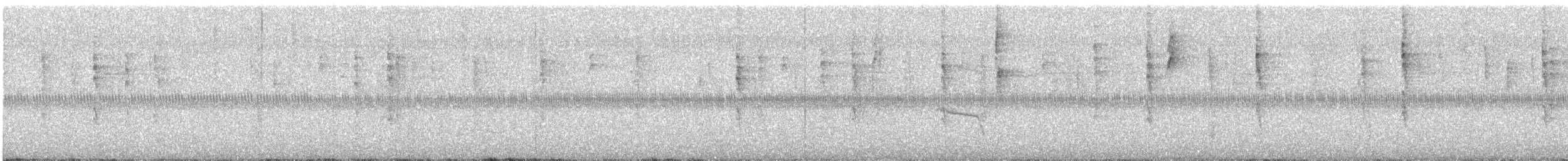 Busardo Caminero - ML645967209