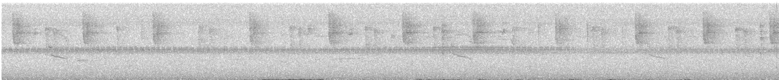 Great-tailed Grackle - ML645967241