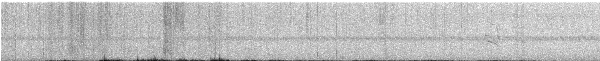 Great-tailed Grackle - ML645967242